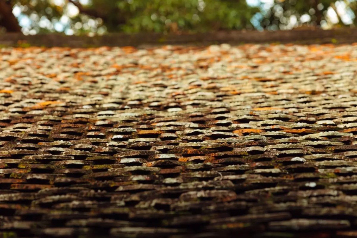 Aging shingle roof with moss growth and granule loss in Winter Haven, FL